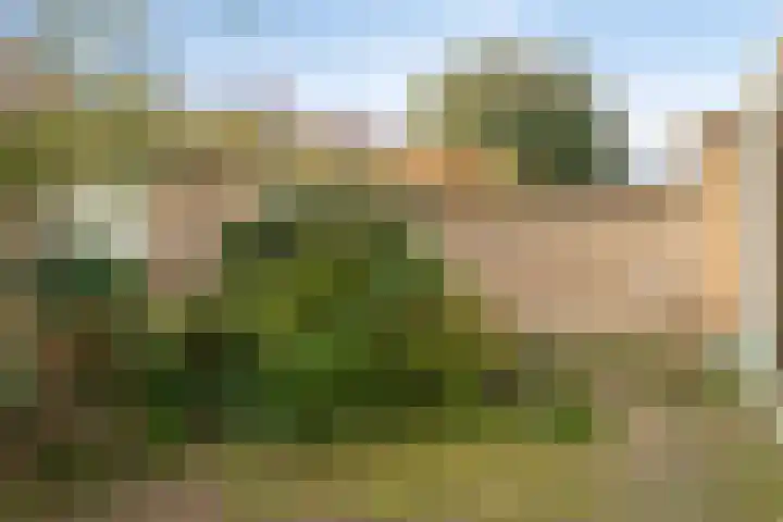 Magisterstraat 32 Veldhoven thumbnail 32