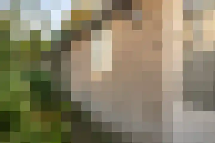 Magisterstraat 32 Veldhoven thumbnail 33