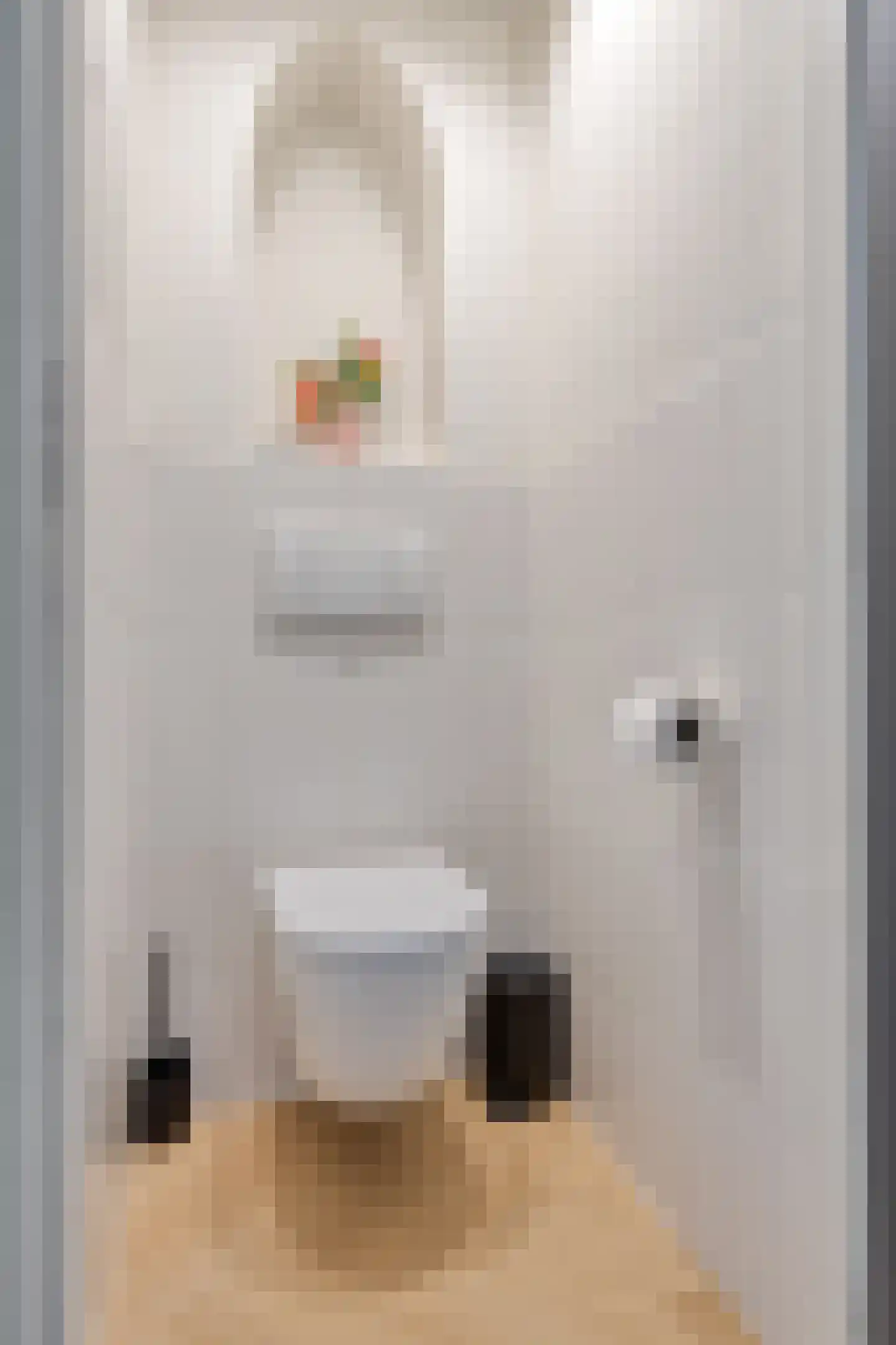 Magisterstraat 38 Veldhoven thumbnail 11