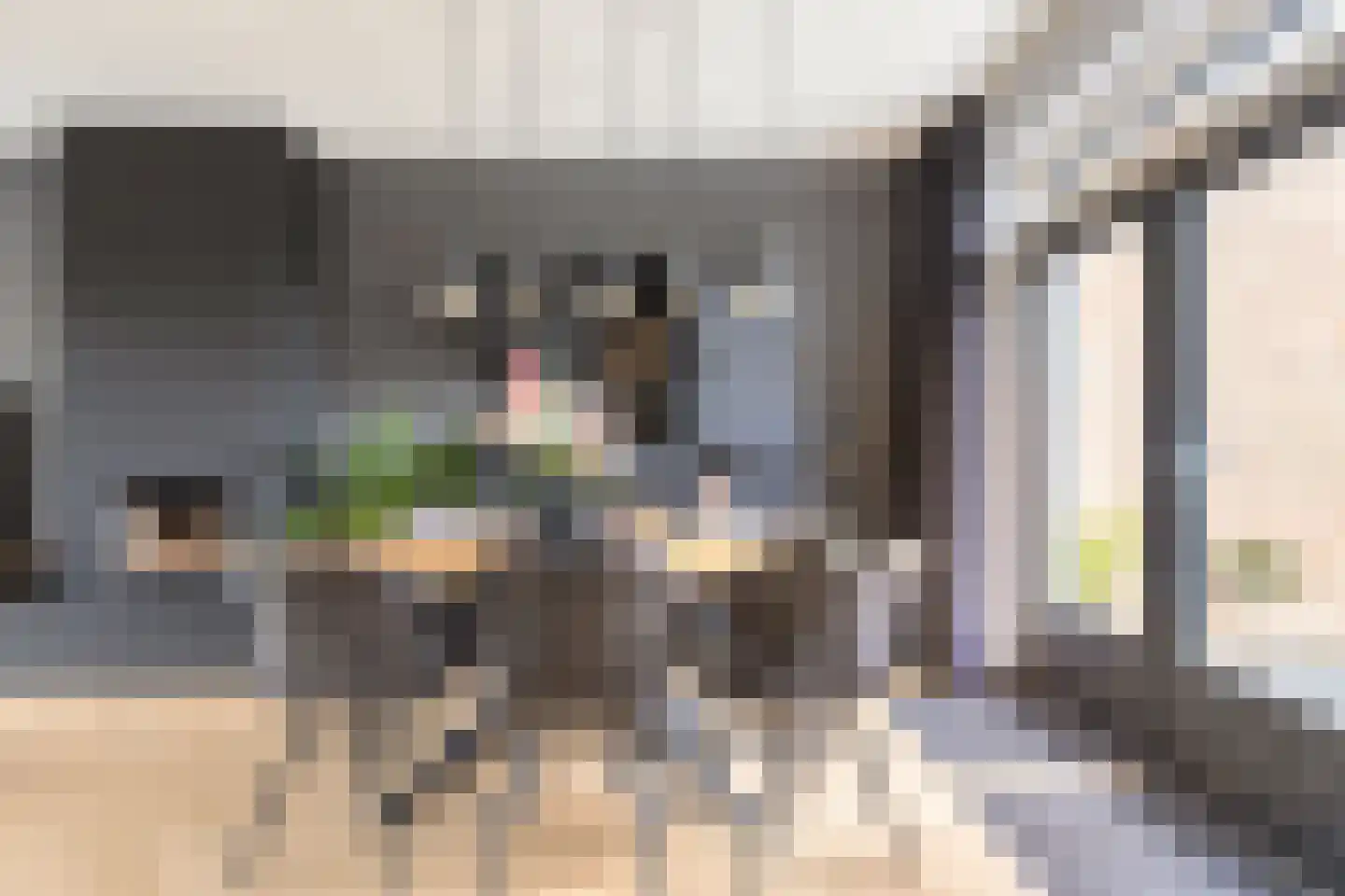 Magisterstraat 38 Veldhoven thumbnail 17