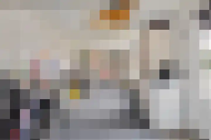 Magisterstraat 52 Veldhoven thumbnail 32