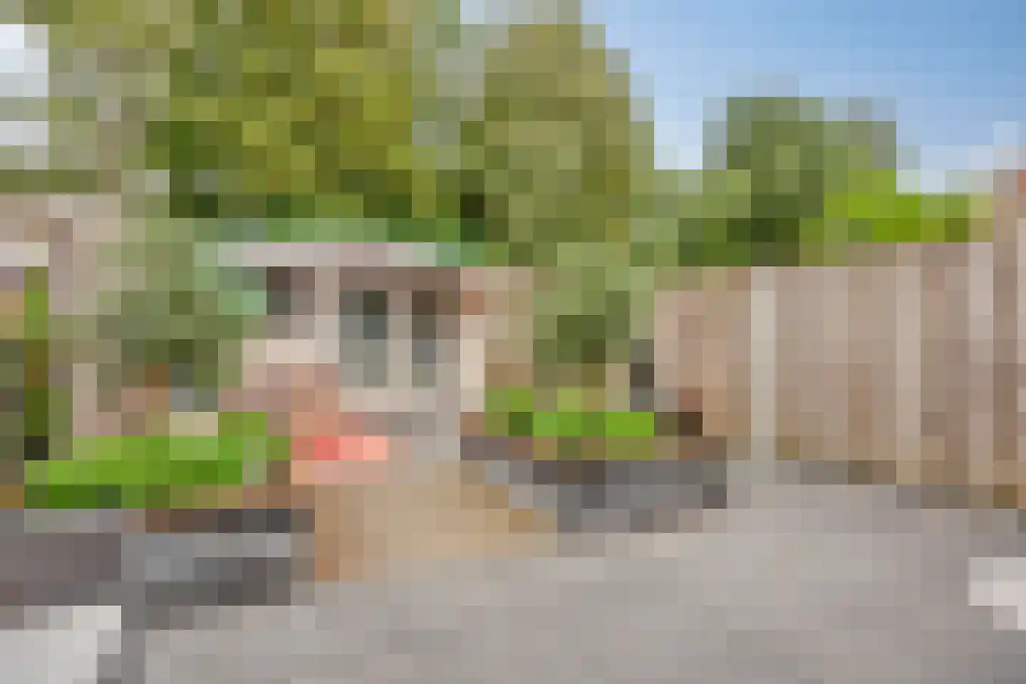 Magistratenveld 505 Apeldoorn thumbnail 28