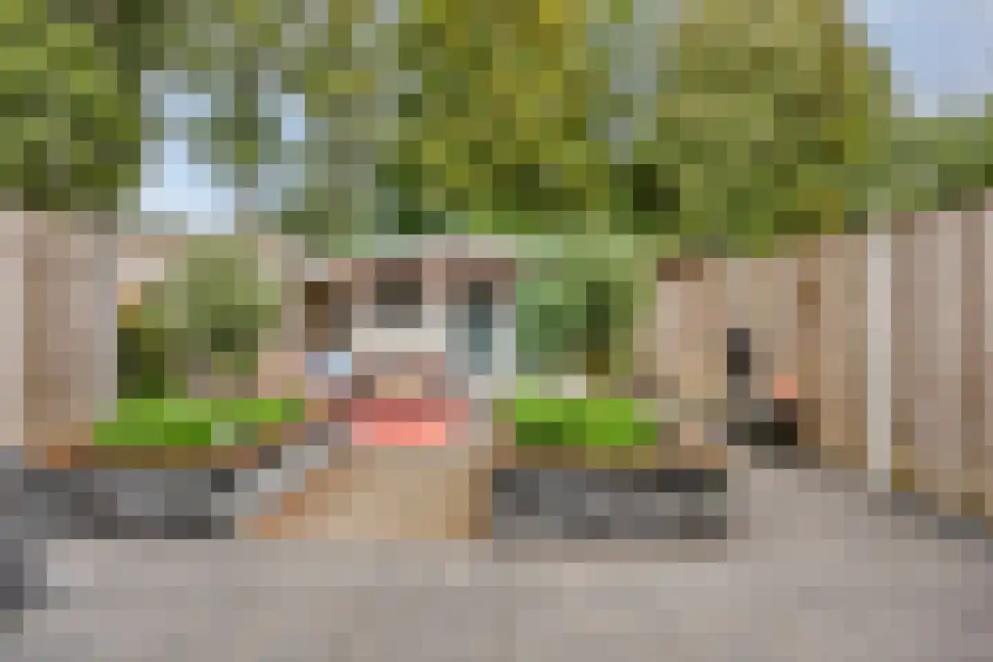 Magistratenveld 505 Apeldoorn thumbnail 29