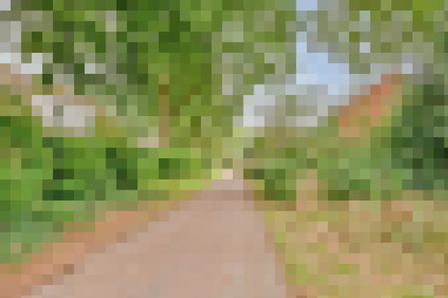 Magistratenveld 505 Apeldoorn thumbnail 34