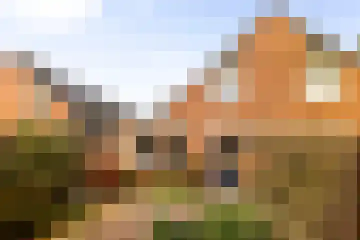 Magistratenveld 8 Apeldoorn thumbnail 24