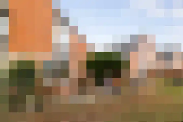 Magistratenveld 8 Apeldoorn thumbnail 5