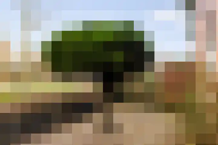 Magistratenveld 8 Apeldoorn thumbnail 8