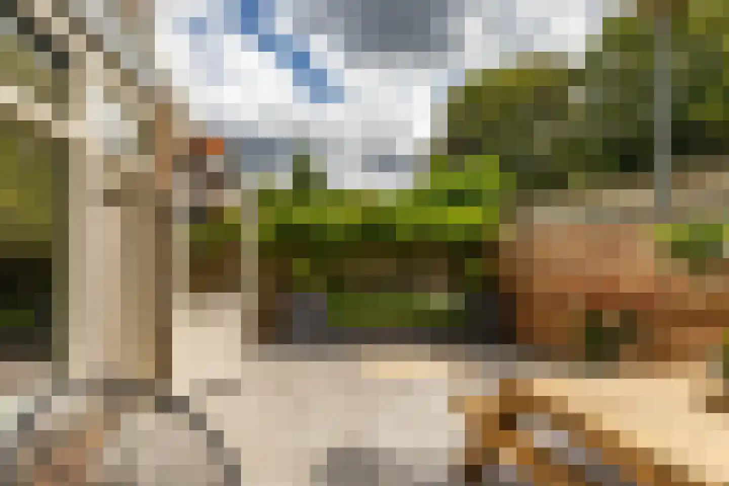 Magna Petestraat 13 Groningen thumbnail 21