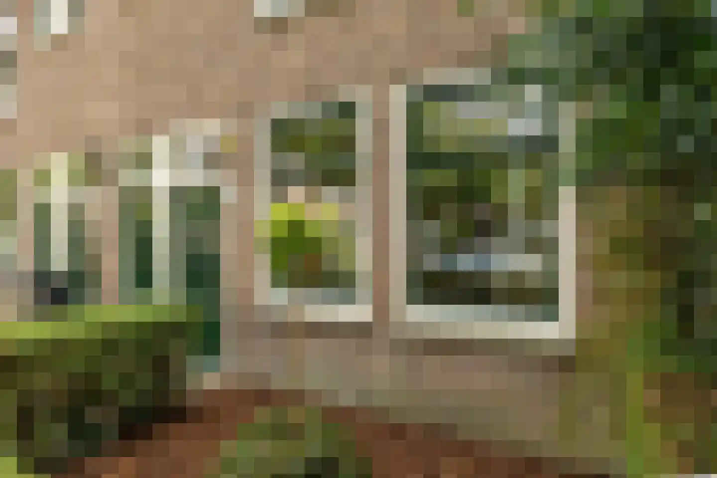 Magna Petestraat 13 Groningen thumbnail 23