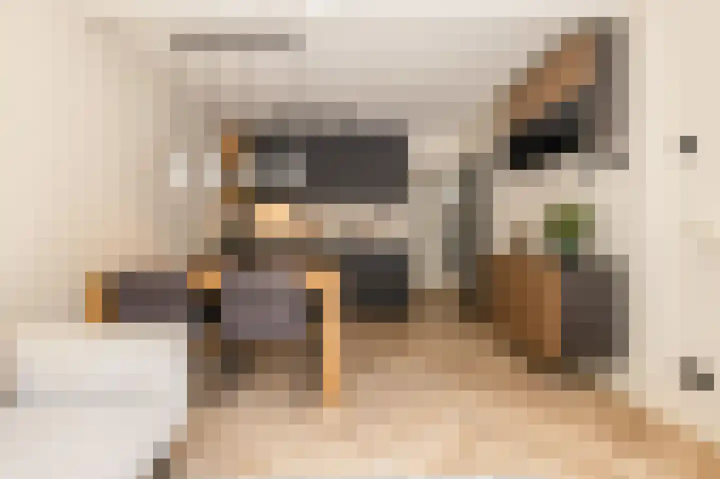 Magna Petestraat 13 Groningen thumbnail 4