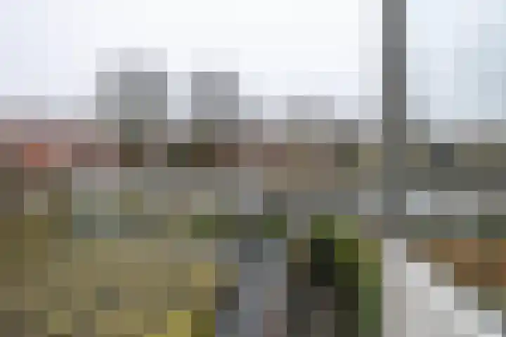 Magna Petestraat 15 a Groningen thumbnail 11
