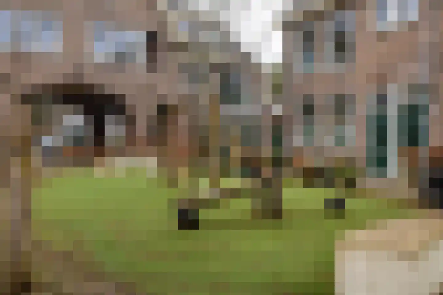 Magna Petestraat 15 a Groningen thumbnail 32