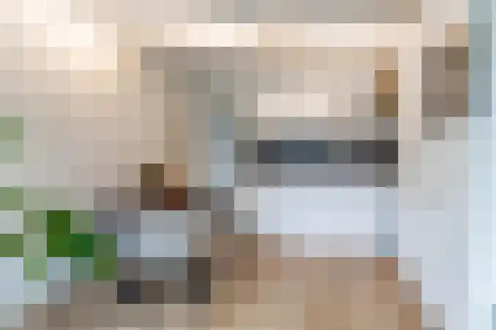 Magna Petestraat 15 Groningen thumbnail 14