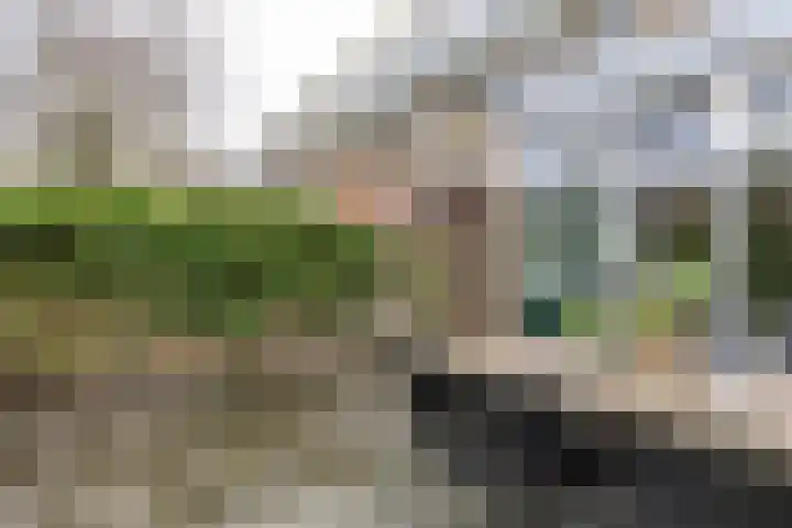 Magna Petestraat 15 Groningen thumbnail 17