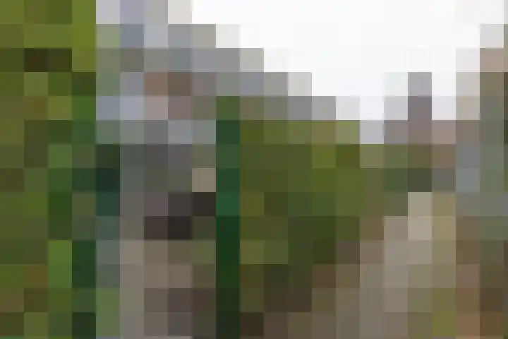 Magna Petestraat 15 Groningen thumbnail 20