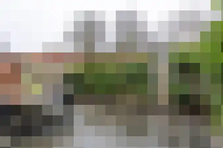 Magna Petestraat 15 Groningen thumbnail 4