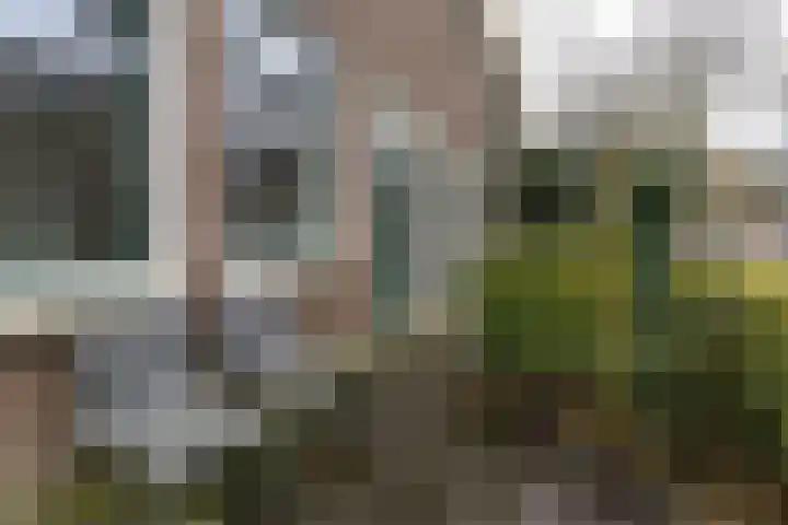 Magna Petestraat 15 Groningen thumbnail 6