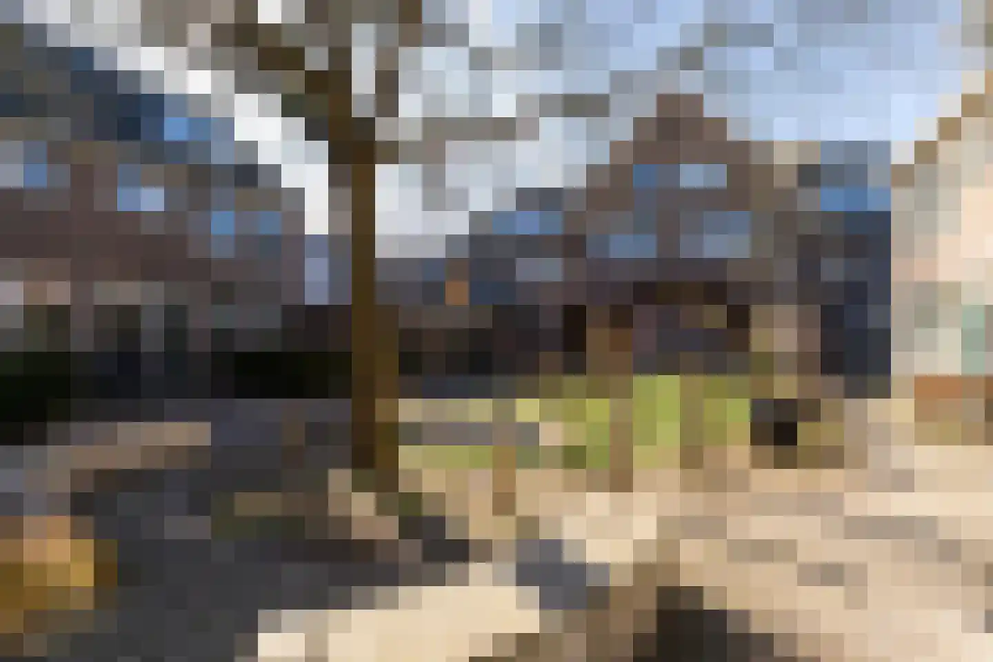 Magna Petestraat 9 Groningen thumbnail 25