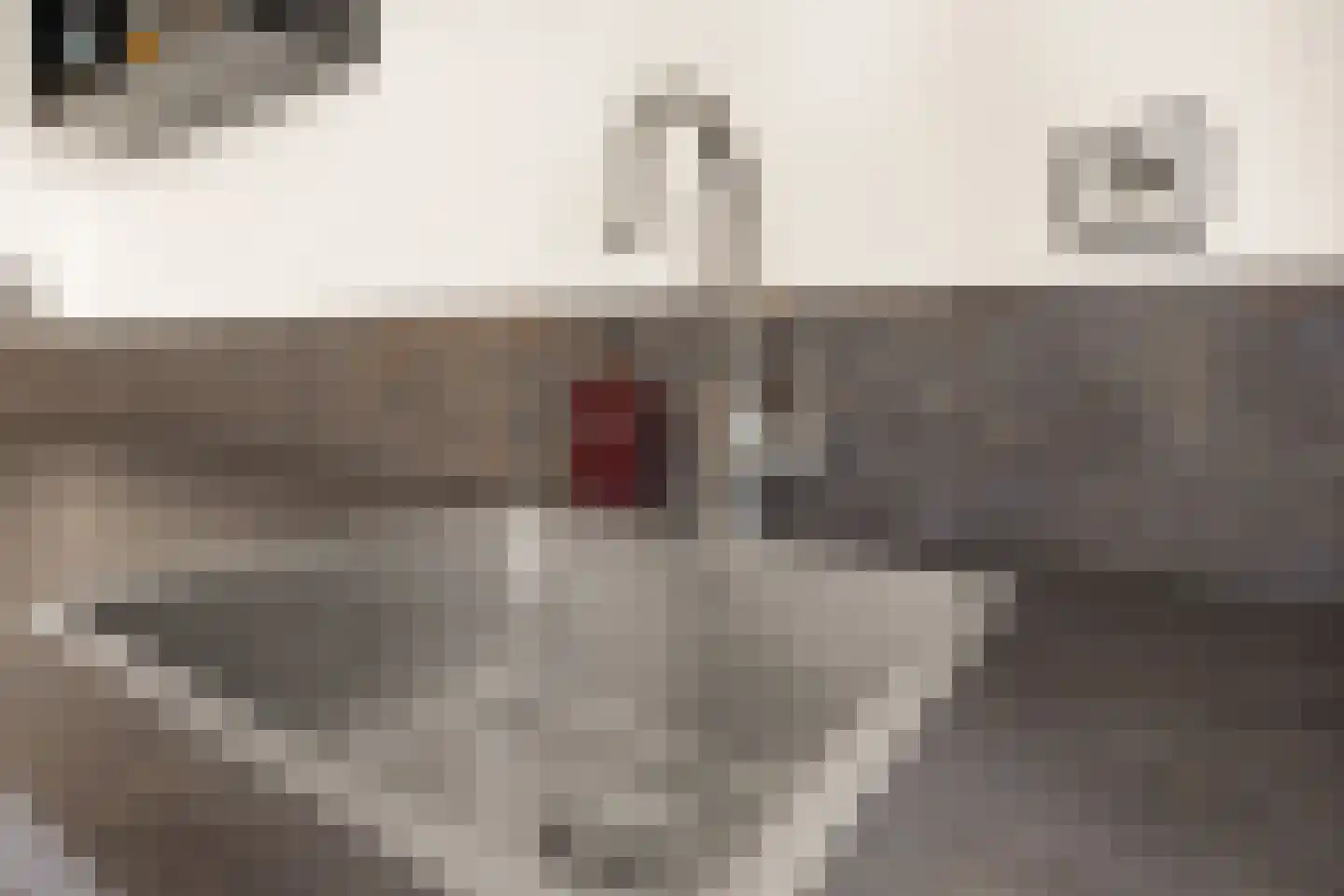 Magneetveld 43 Almere thumbnail 10