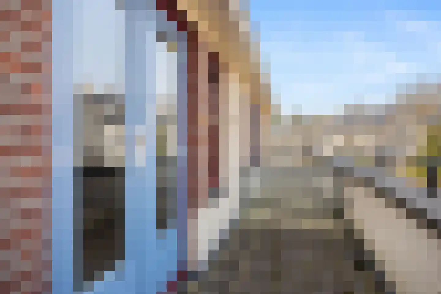 Magneetveld 43 Almere thumbnail 17