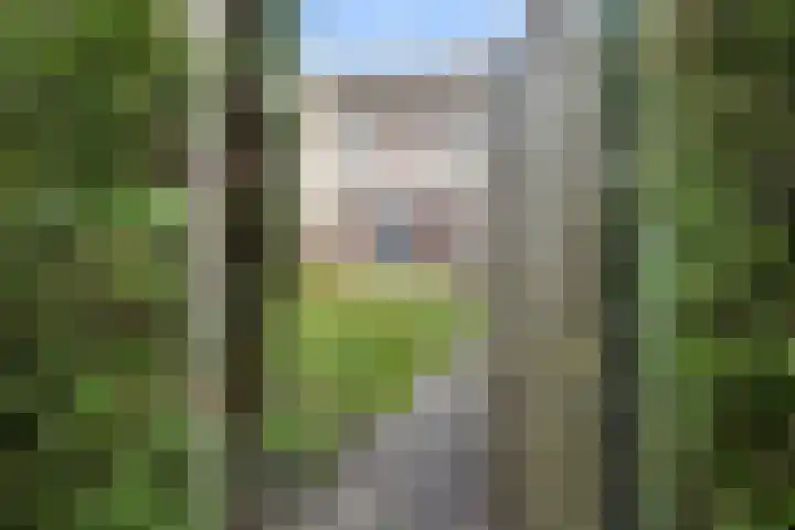 Magneetveld 43 Almere thumbnail 31