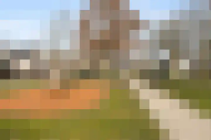Magneetveld 43 Almere thumbnail 33