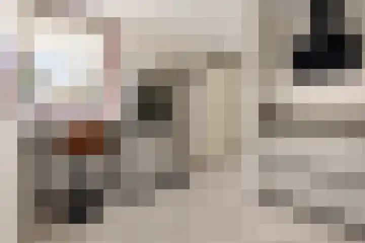 Magneetveld 43 Almere thumbnail 9