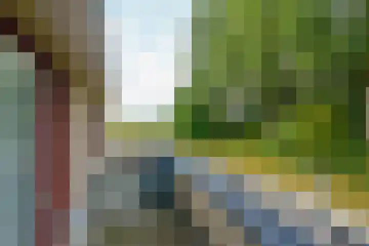 Magneetveld 51 Almere thumbnail 17