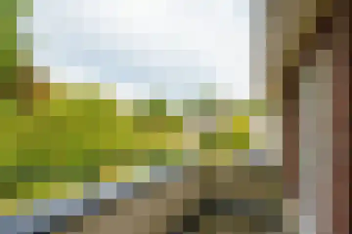 Magneetveld 51 Almere thumbnail 18