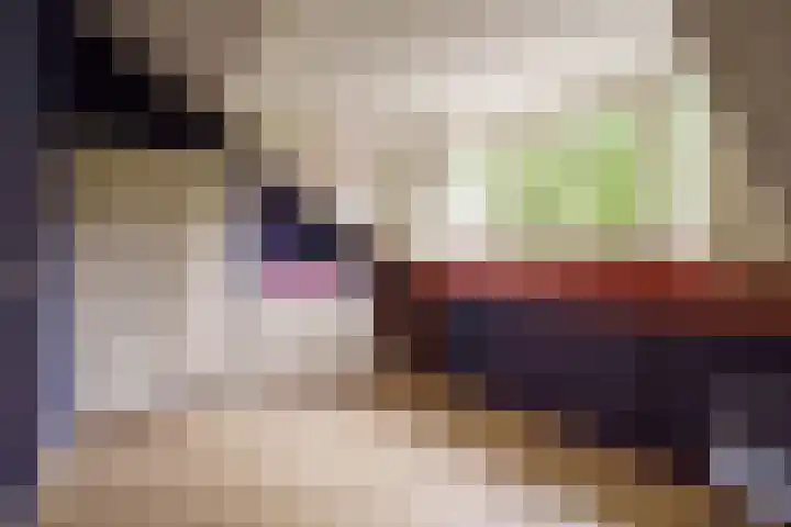 Magneetveld 51 Almere thumbnail 30