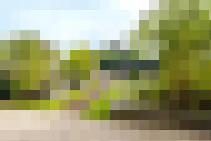 Magneetveld 51 Almere thumbnail 35