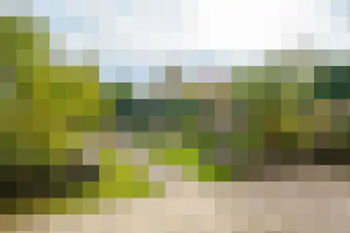 Magneetveld 51 Almere thumbnail 36