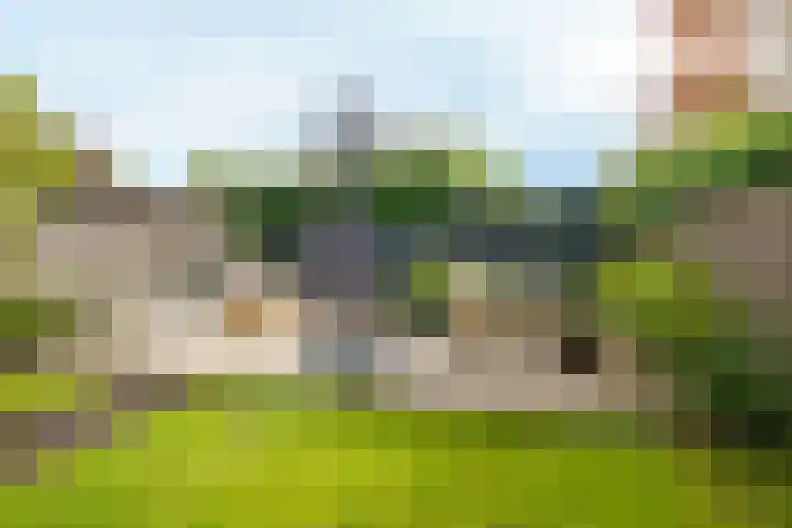 Magneetveld 51 Almere thumbnail 37
