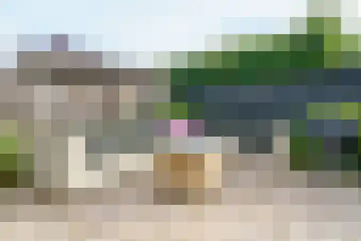 Magneetveld 51 Almere thumbnail 38