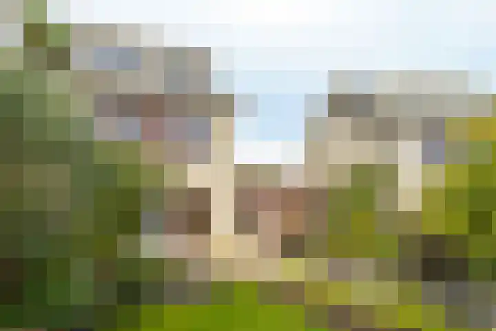 Magneetveld 51 Almere thumbnail 39