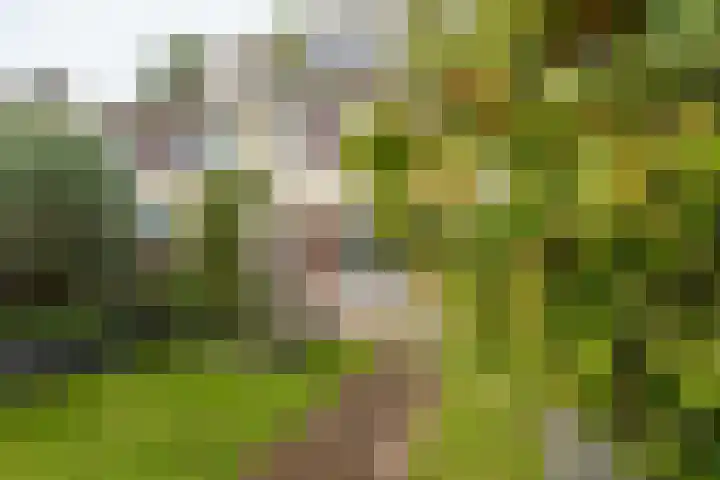 Magneetveld 51 Almere thumbnail 40