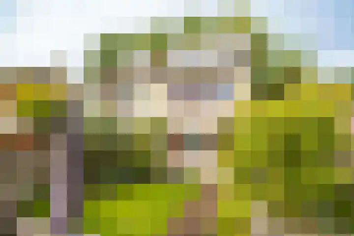 Magneetveld 51 Almere thumbnail 41