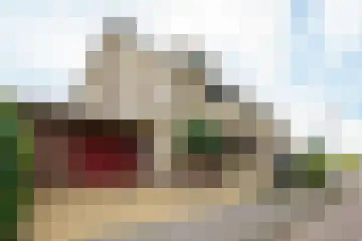 Magneetveld 51 Almere thumbnail 44