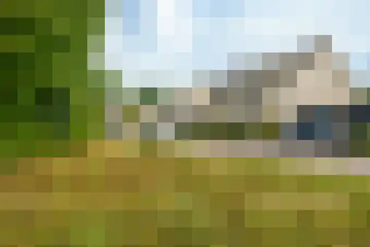 Magneetveld 51 Almere thumbnail 49