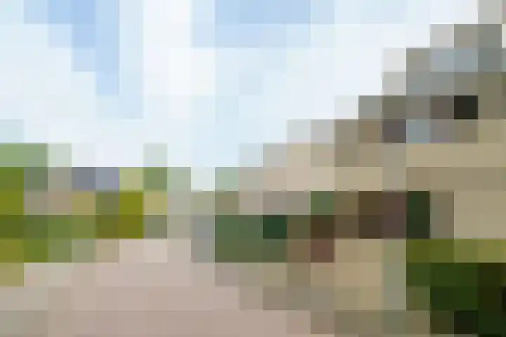 Magneetveld 51 Almere thumbnail 50