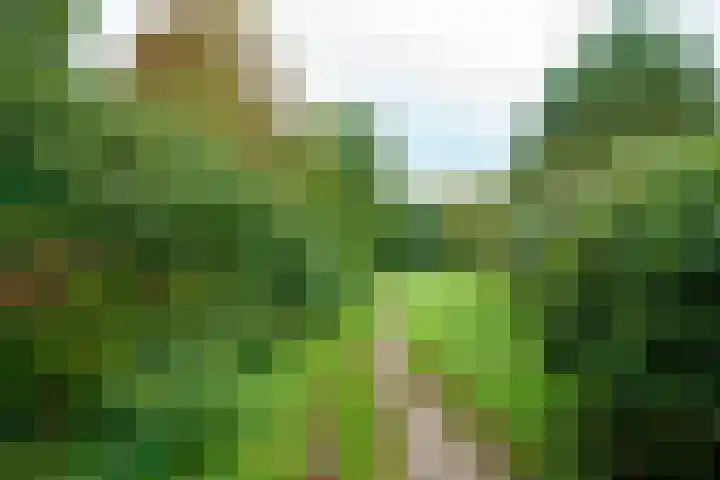 Magneetveld 51 Almere thumbnail 51
