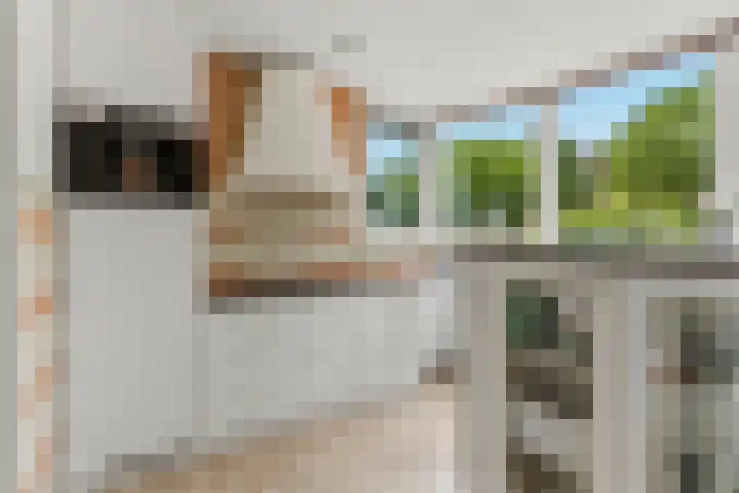 Magneetveld 63 Almere thumbnail 13