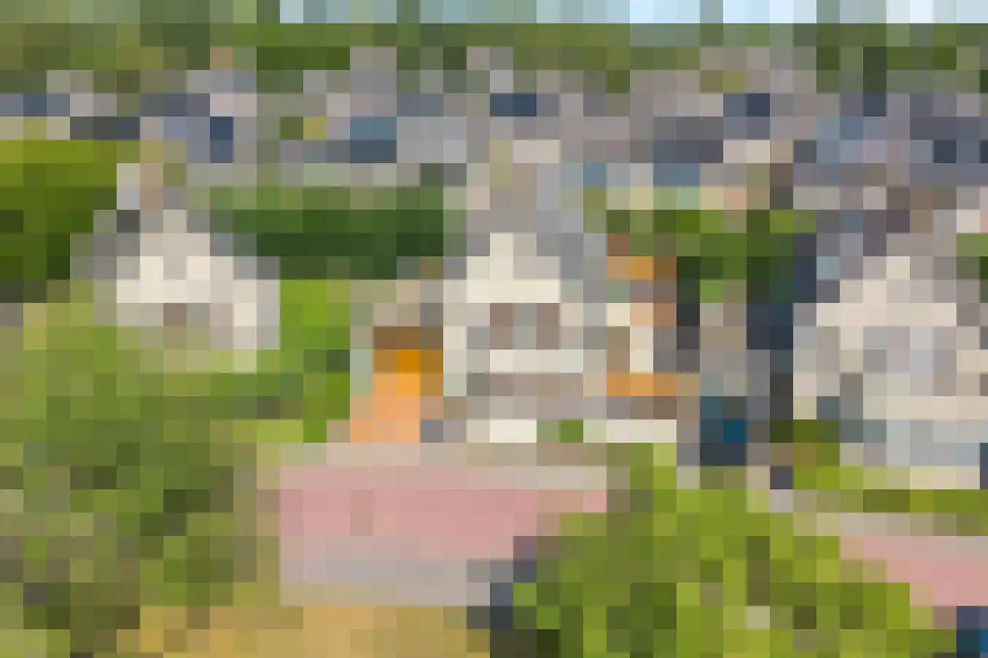 Magneetveld 63 Almere thumbnail 50