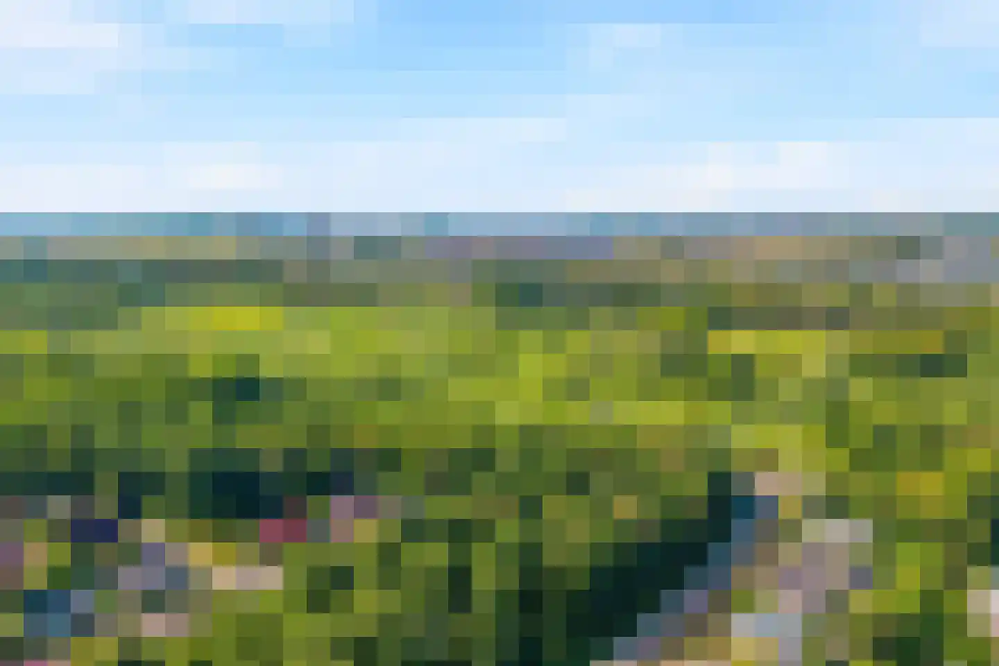 Magneetveld 63 Almere thumbnail 57
