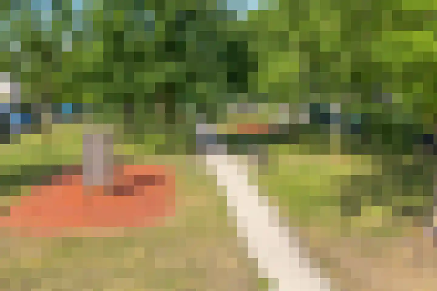 Magneetveld 63 Almere thumbnail 62