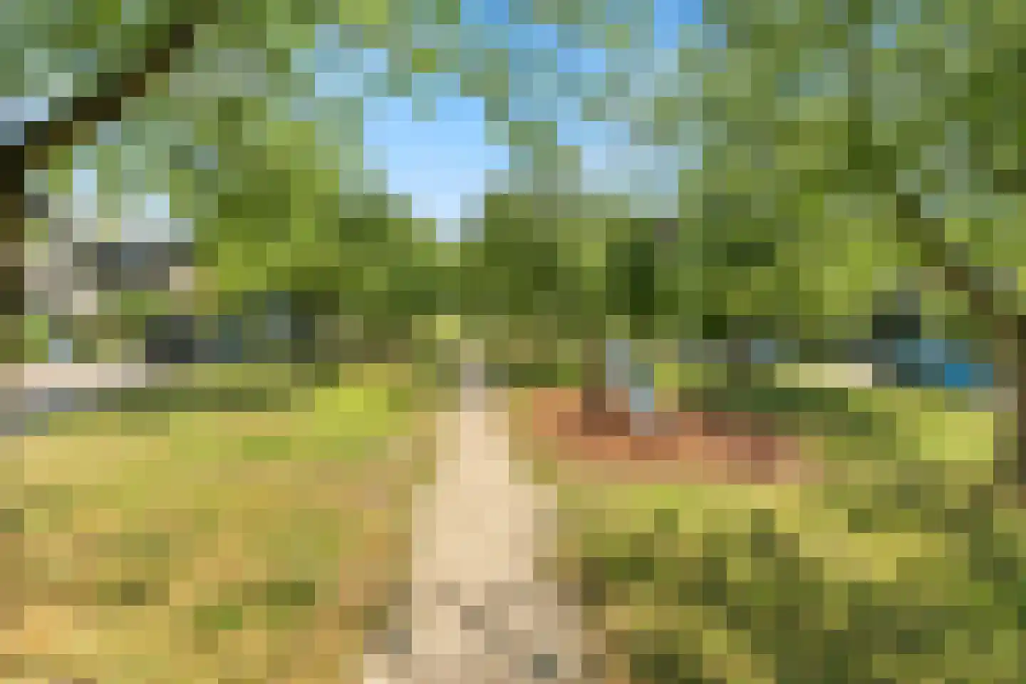 Magneetveld 63 Almere thumbnail 63