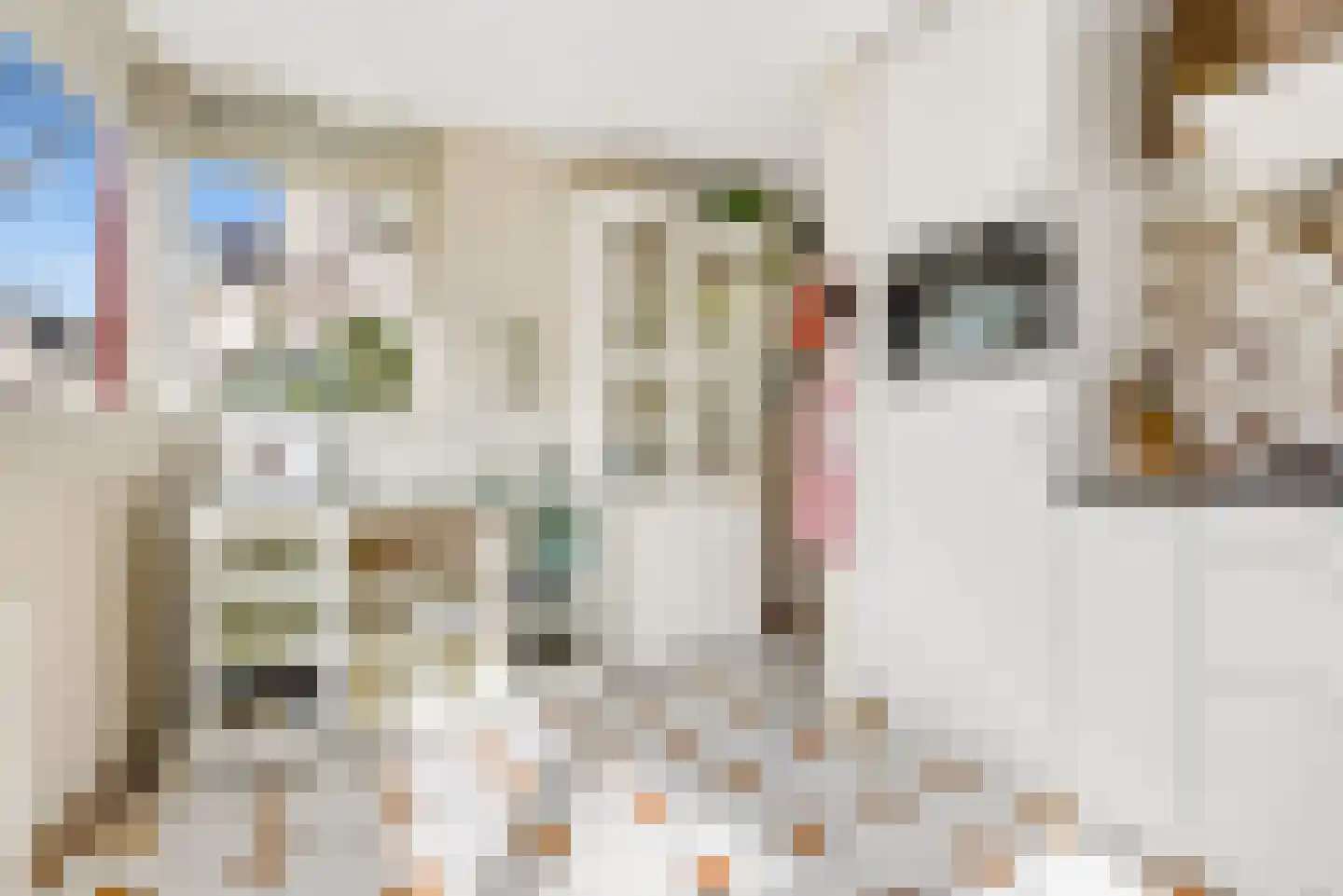 Magneetveld 66 Almere thumbnail 18
