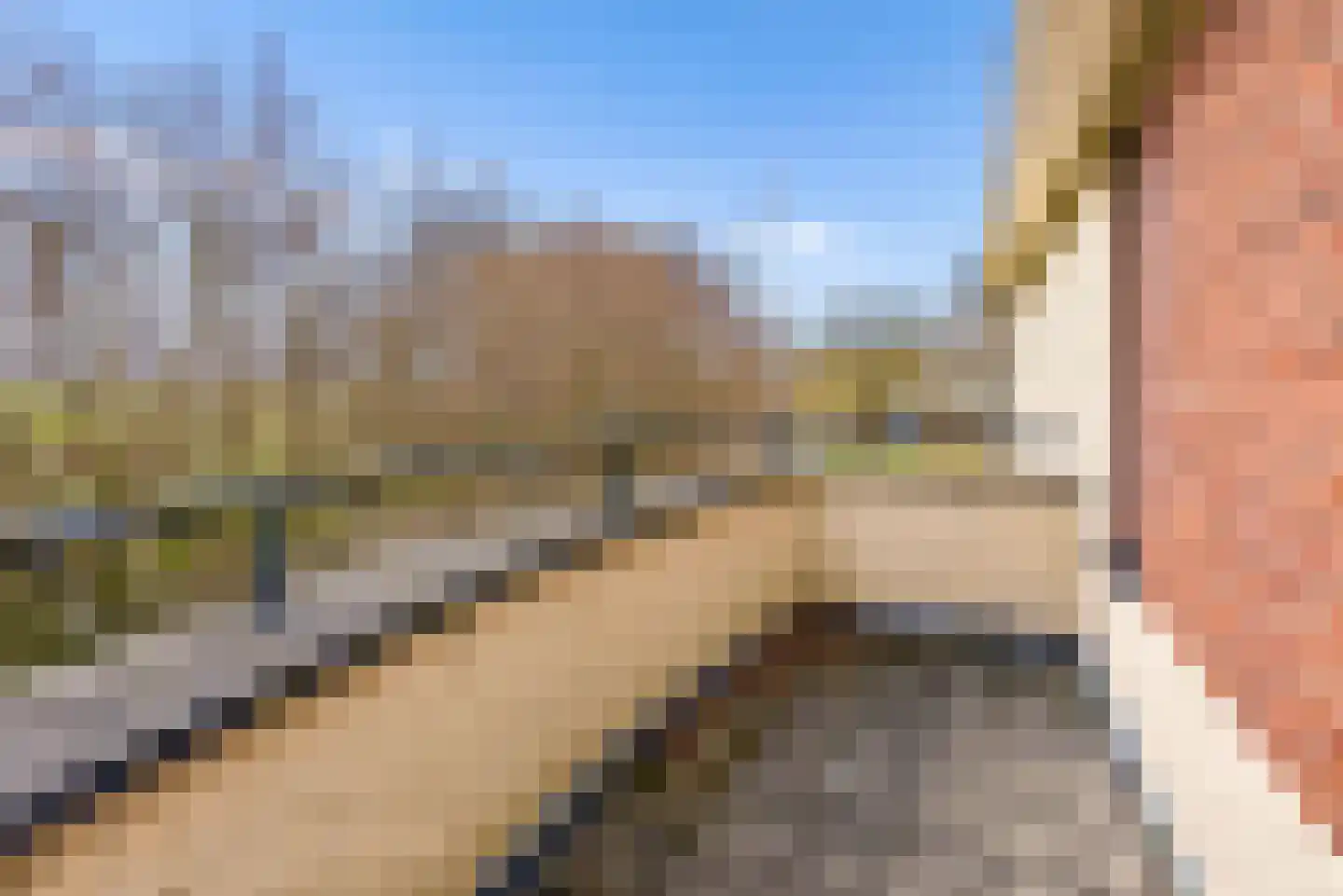 Magneetveld 66 Almere thumbnail 33