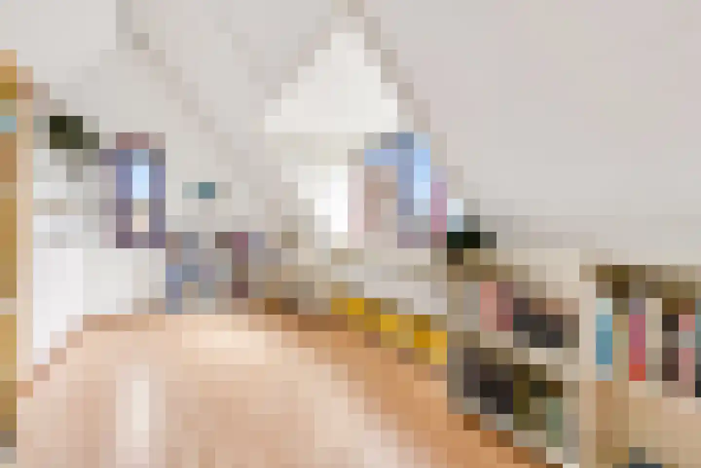 Magneetveld 66 Almere thumbnail 37