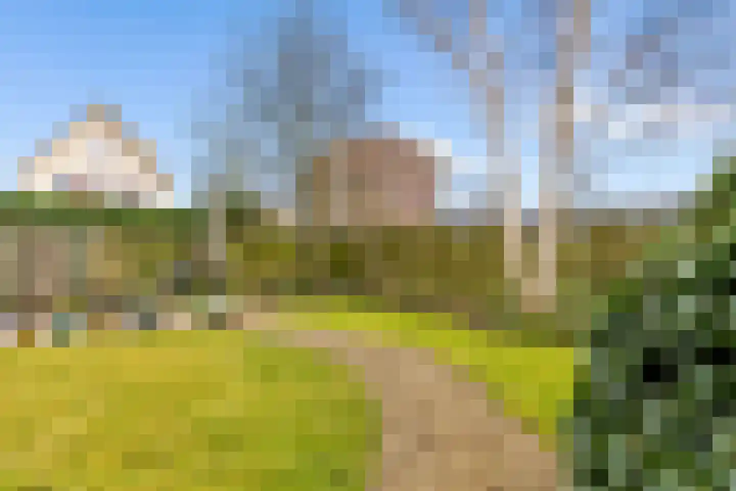 Magneetveld 66 Almere thumbnail 47